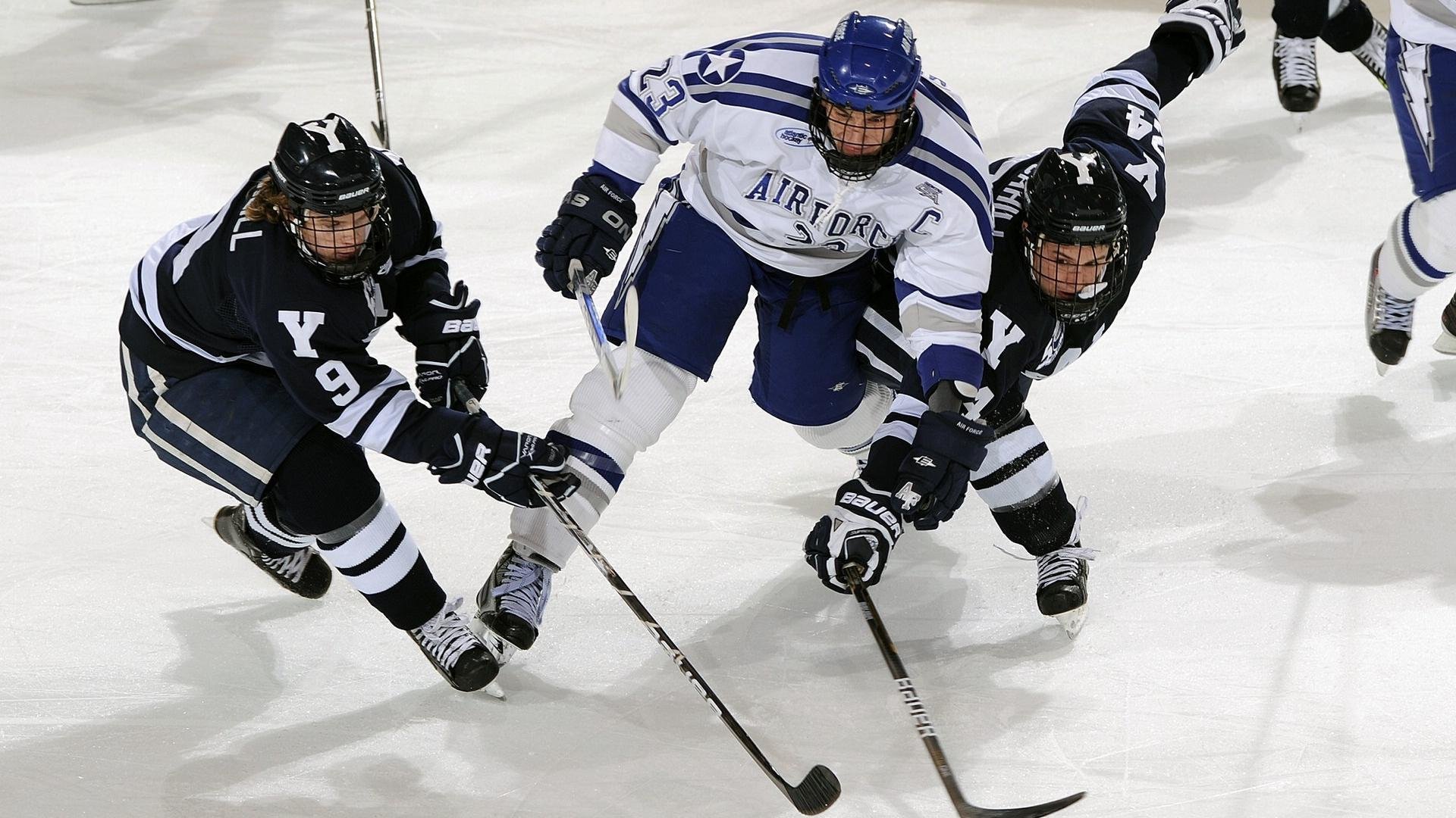 开云体育娱乐-守望先锋 战队新星崭露头角，守望先锋最新阵容